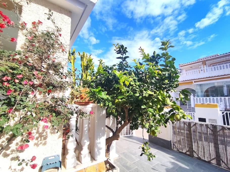 Rincon Mediterraneo Gran Alacant Exterior photo